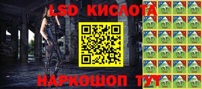 дмт Кандалакша