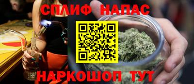 бошки Камышлов